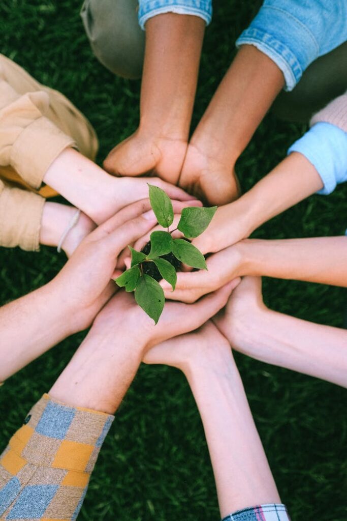 pexels-photo-5029919 Hands united around a plant symbolizing teamwork and eco-friendly efforts outdoors.